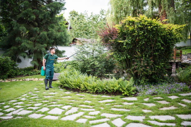Trusted Gray, TN Pest Control Experts