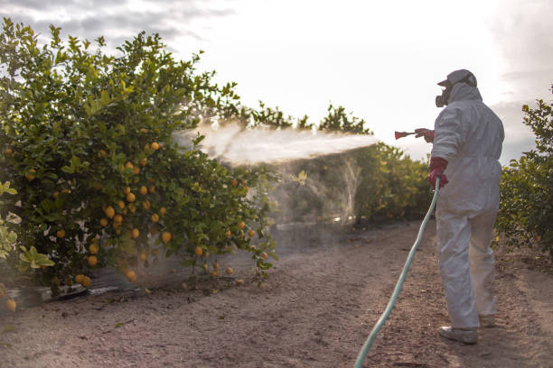 Best Residential Pest Control  in Gray, TN