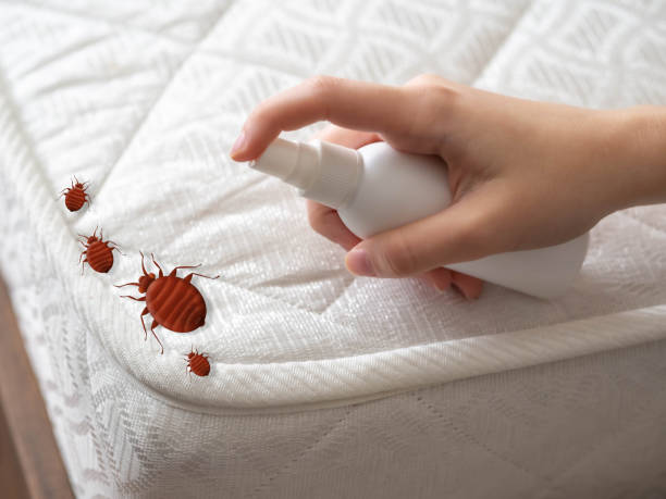 Best Insect Control  in Gray, TN
