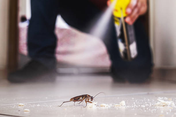 Pest Control Cost in Gray, TN