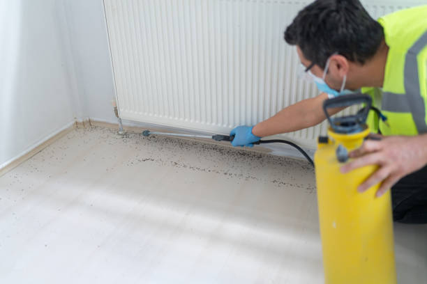 Best Best Pest Control Companies  in Gray, TN
